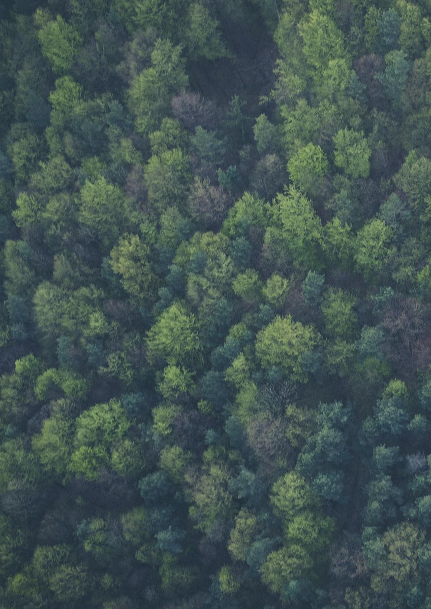 sustainable green
